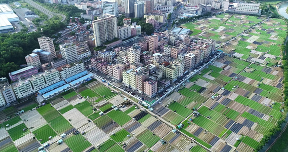 耕地与城市发展视频