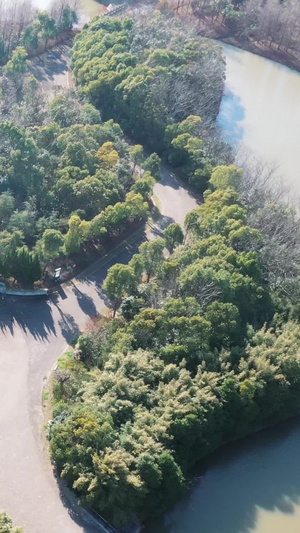 上海海湾森林公园雕塑园环绕航拍上海风景23秒视频