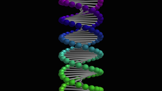 DNA 分子的图形动画视频