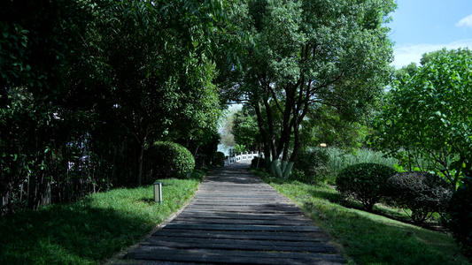 武汉东湖风景区楚风园风景视频