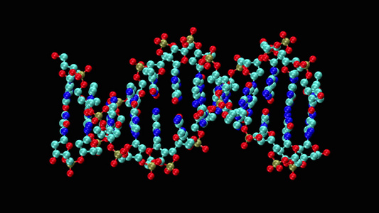 脱氧核糖核酸分子视频