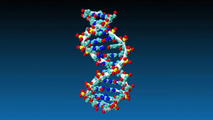 脱氧核糖核酸分子8秒视频