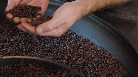 工厂工人检查咖啡豆视频