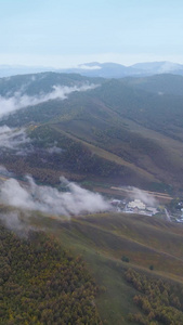 阿尔山森林清晨的雾气柴河旅游景区视频