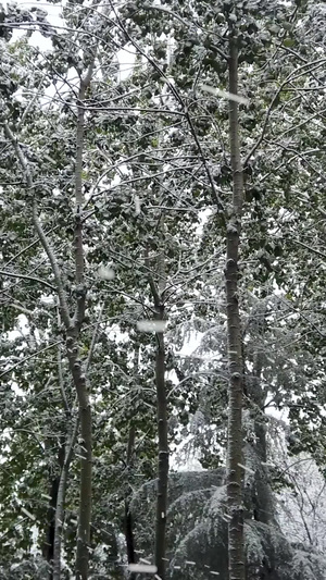 拍摄雨雪中的城市43秒视频