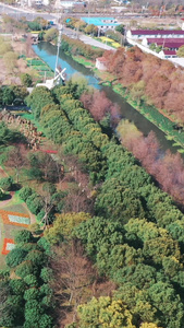 上海鲜花港郁金香节城市航拍视频