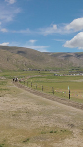 牧羊人赛马比赛运动草原比赛视频