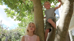 兄妹在户外玩耍哥哥爬到树上12秒视频
