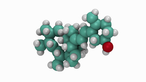 维生素 D 分子10秒视频