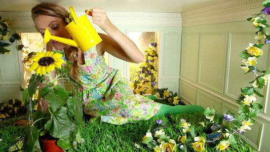 在小房间里给向日葵浇水的年轻女人视频