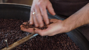 咖啡厂的工人正常检查咖啡豆6秒视频
