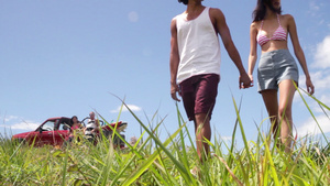 年轻夫妇在海岸附近的草地上散步10秒视频
