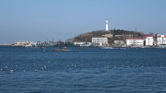 烟台山公园灯塔和蓝色大海城市地标风光视频