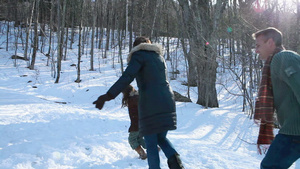 一家人背着圣诞树穿过森林22秒视频