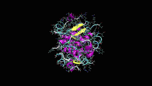 胰岛素分子的动画视频