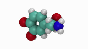 去甲肾上腺素分子的动画10秒视频