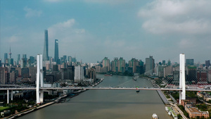 长海车流不息的南浦大桥38秒视频