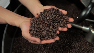 拿着一把咖啡豆检查品质的咖啡师9秒视频