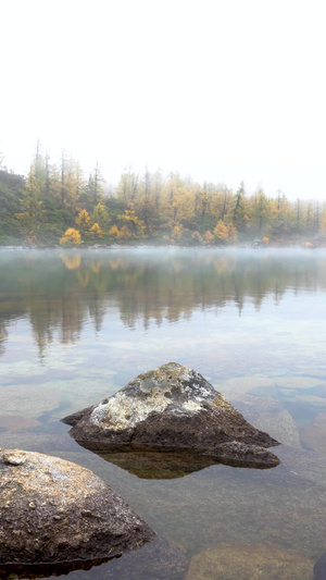 秋季川西高原高海拔湖泊葫芦海晨雾延时视频延时摄影22秒视频