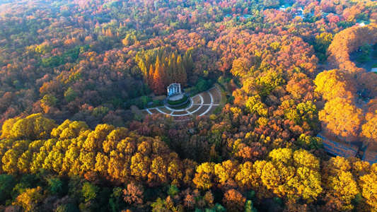 4K航拍秋天风景南京秋景中山陵音乐台秋景视频