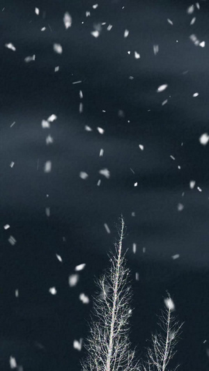 冬天冬季树林大寒雪景视频背景寒冷，雪花120秒视频