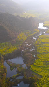 高清竖屏航拍云南九龙瀑布景区清晨风景视频