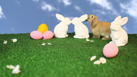 复活节彩蛋和复活节兔子的兔子视频