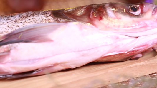 白鲢鱼胖头鱼视频