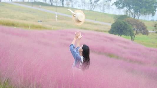 1080升格粉黛乱子草花海中的少女视频