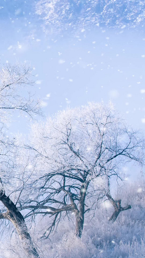 雪花风景背景视频唯美风景雪10秒视频