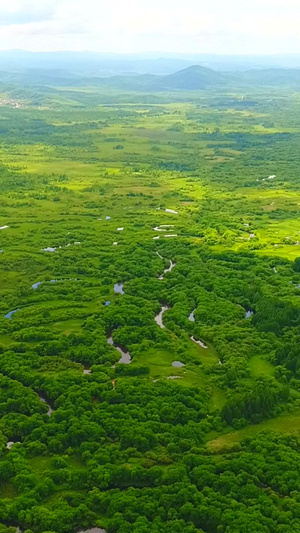 延边湿地18秒视频