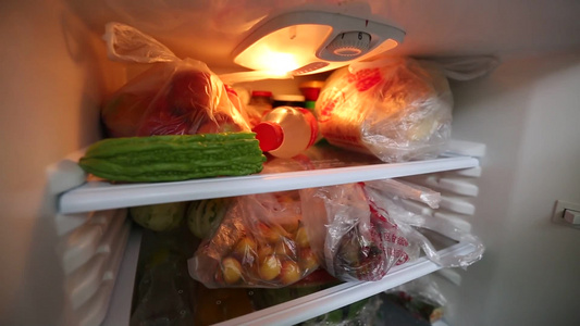 冰箱里塞满各种食材视频