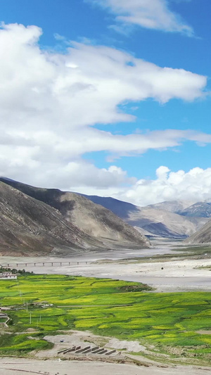 西藏雅鲁藏布江河畔油菜花田航拍视频西藏旅游73秒视频