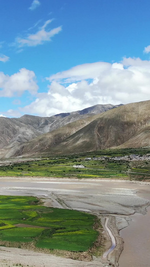 西藏雅鲁藏布江河畔油菜花田航拍视频高海拔73秒视频