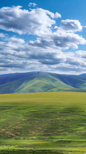 延绵辽阔的西藏草地自然风光蓝天白云15秒视频