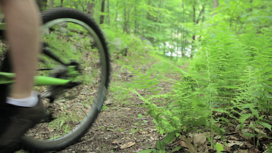 骑自行车穿过森林的男性骑自行车者视频