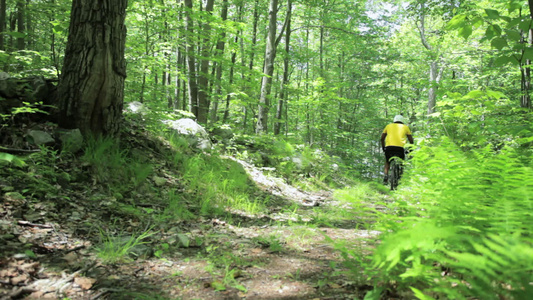 骑自行车穿过森林的男性骑自行车者视频