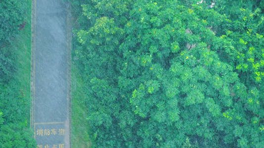 4K实拍春雨暴雨大雨空镜视频