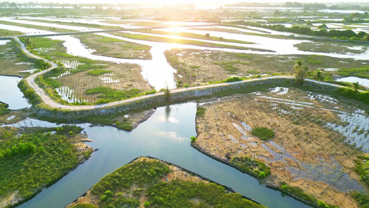 海南陵水环岛乡村旅游公路阳光下行驶的新能源汽车视频