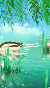 春江水暖鸭先知春天背景视频背景视频 春季 湖水 绿色 动物 家禽视频