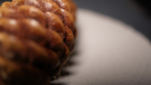 【镜头合集】千层松松子松果松塔种子植物干燥标本视频