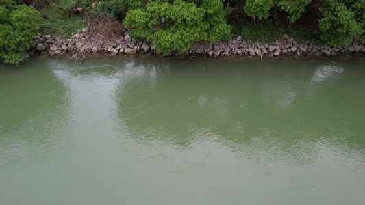 流淌的河水航拍视频