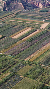 航拍陕西农业新农村肥沃的土地航拍素材乡村振兴视频