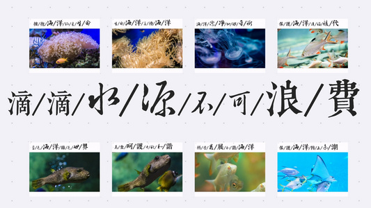 世界海洋日图文宣传展示AE模版视频