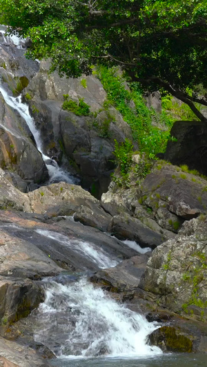 森林环绕中瀑布流水合集含声音高山流水58秒视频