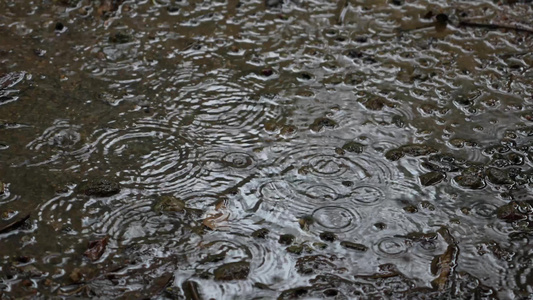 雨水拍打地面视频