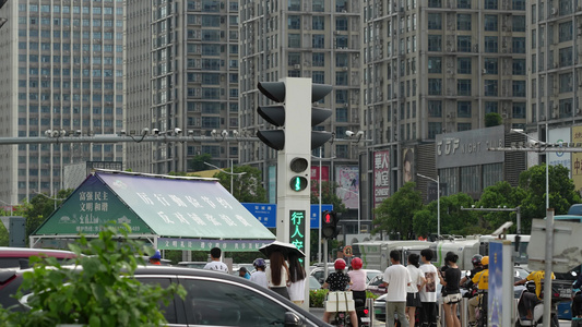 城市交通信号灯 视频