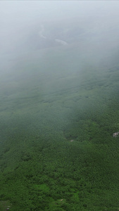 湖北神农架天燕景区航拍视频