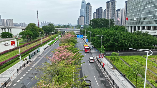 4k广州阅江中路有轨列车视频