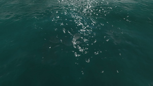 3D海洋水面表面17秒视频